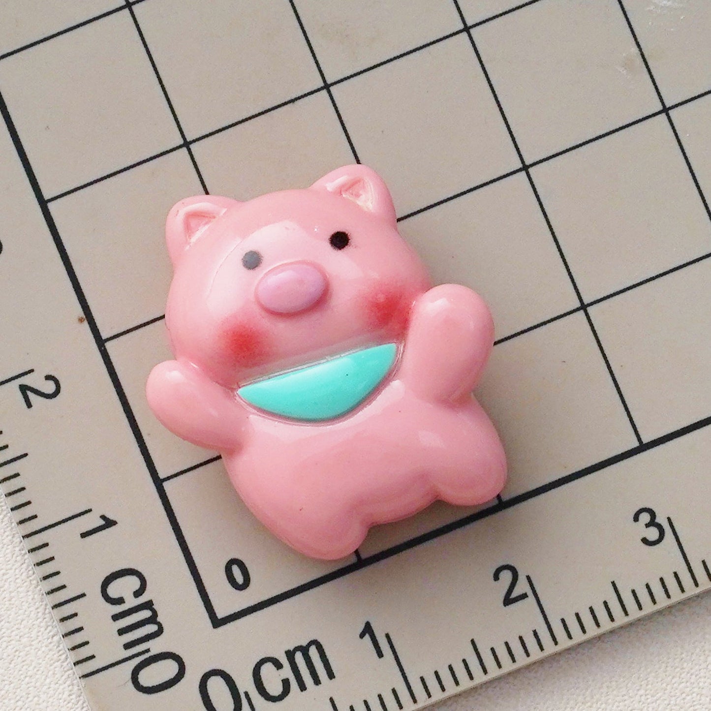 10 PCS Cartoon Resin Charms